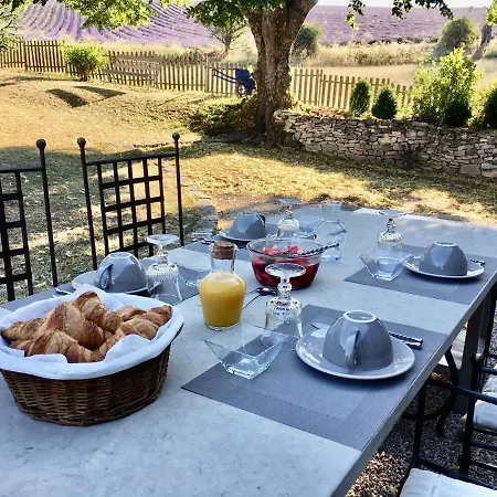 Domaine La Lauren Avec Piscine Chauffee Et Jacuzzi Guest house Ferrassieres