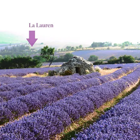 Domaine La Lauren Avec Piscine Chauffee Et Jacuzzi * Ferrassieres